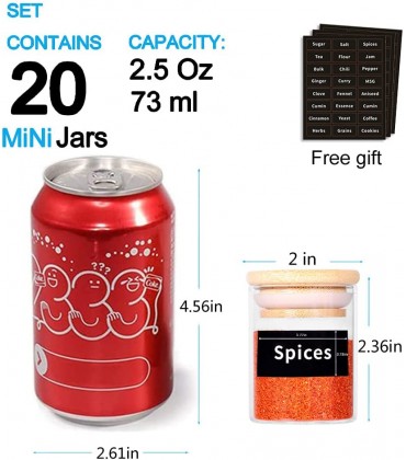 SAIOOL 20 Stück – 73 ml Mini-Gewürzgläser mit Holzdeckel leicht zu reinigen BPA-frei und spülmaschinenfest. Füllen Sie mit Gewürzen Kräutern Bohnen Geschenken Hochzeitsgeschenken DIY und mehr - BWLIFDBW