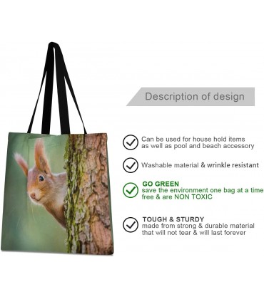 JMbui Einkaufstasche aus Segeltuch mit Eichhörnchen-Motiv mit Tasche wiederverwendbar für Damen Teenager Bücher - BDWESH17