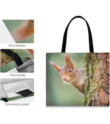 JMbui Einkaufstasche aus Segeltuch mit Eichhörnchen-Motiv mit Tasche wiederverwendbar für Damen Teenager Bücher - BDWESH17